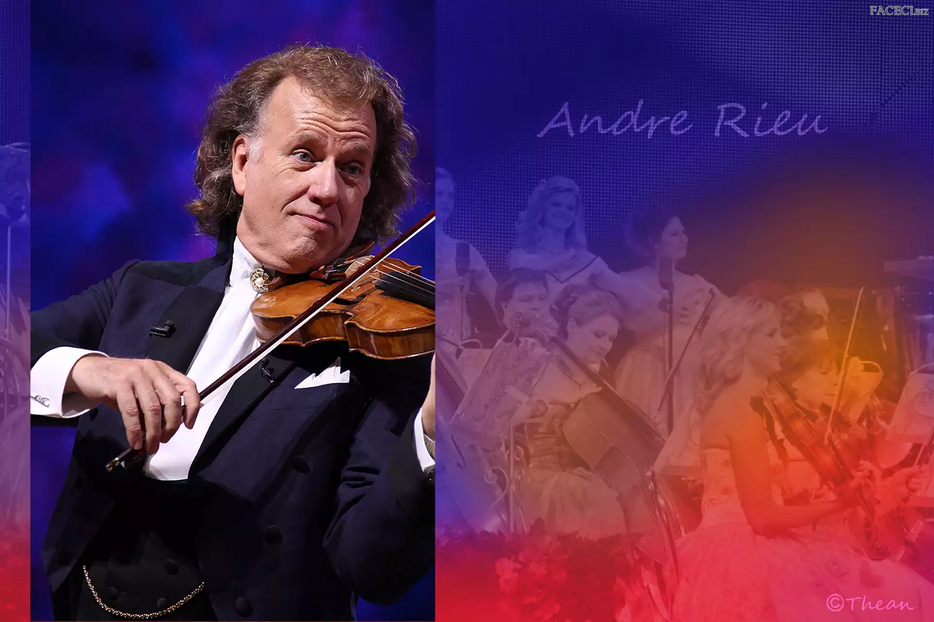 Johan Strauss Orkiestra, Andre Rieu, Łódź, Koncert, Skrzypek, Skrzypce